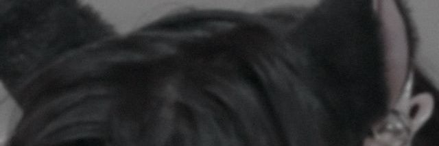 ᵃᵏˢᵃʳᵉʸˡᵉᵒ;sᴜɴғʟᴏᴡ banner