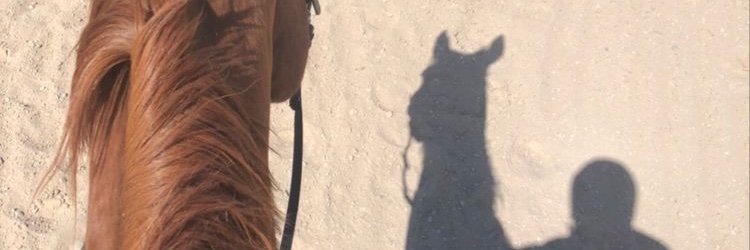 روح اينـِِـِـور 🎻 banner