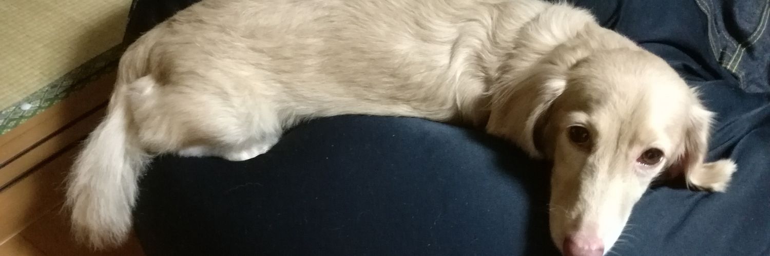 raika. banner