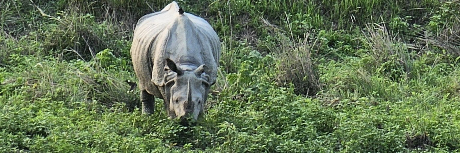 subhangam's profile banner image