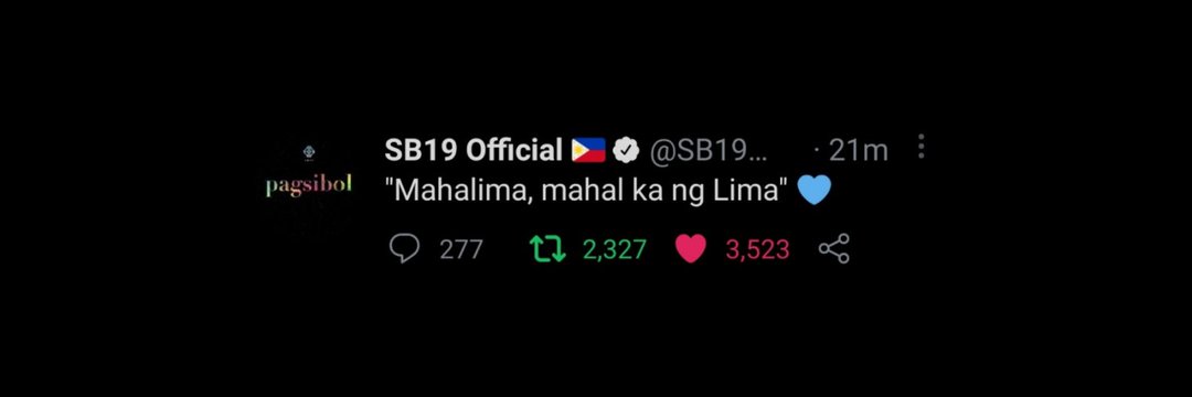 shhhsb19's profile banner image