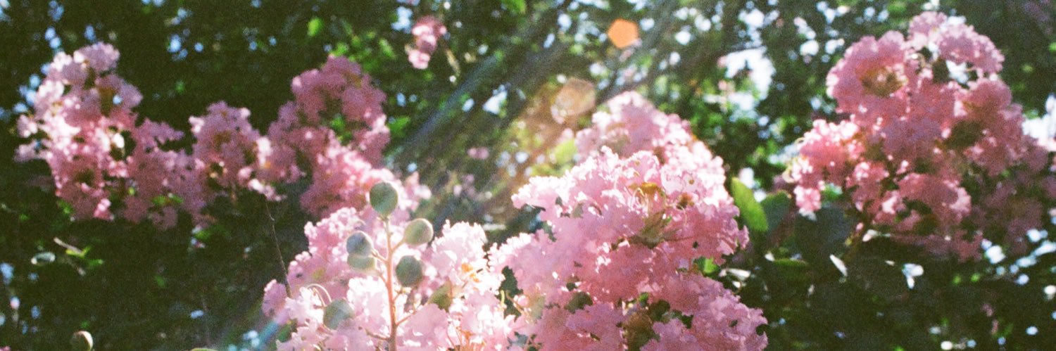 _chrisaid's profile banner image