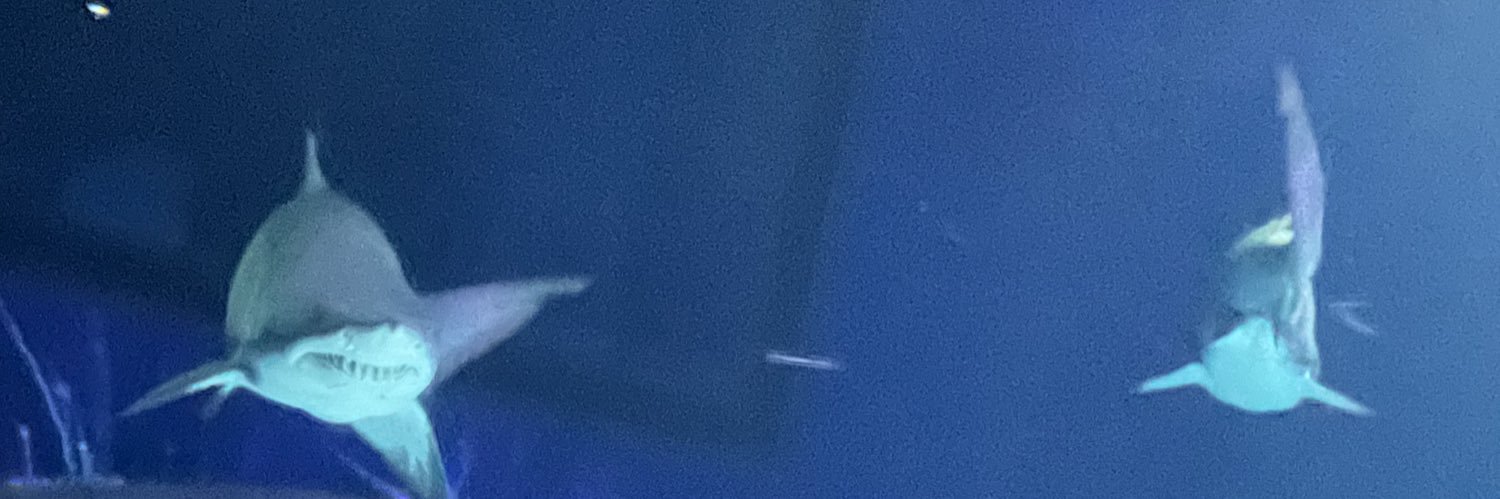 I am 3 banner