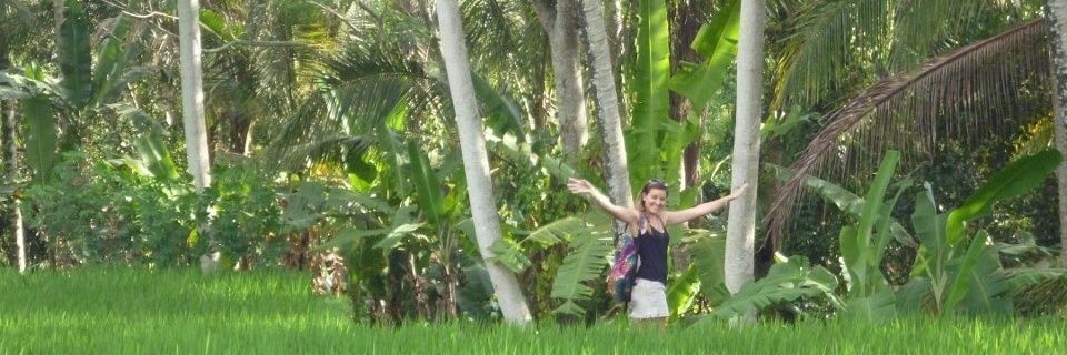 btracey21's profile banner image