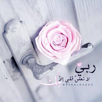 ro0ona_18's profile banner image