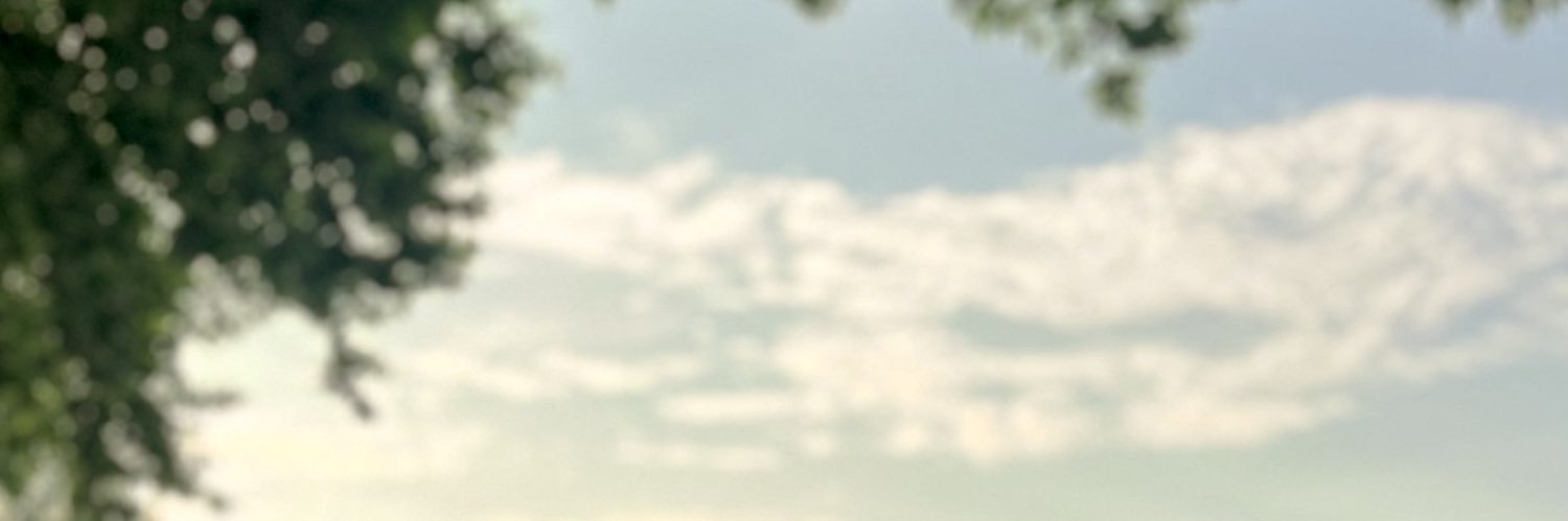 Joaopmabrantes's profile banner image