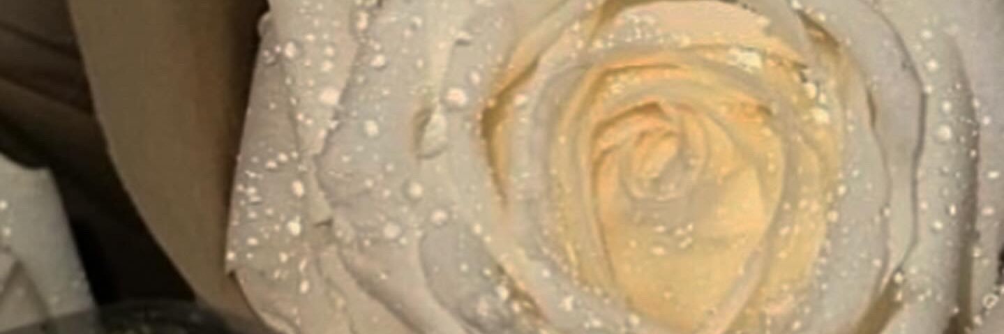 ℚ𝕁𝕒𝕟.𝕖𝕥_ banner
