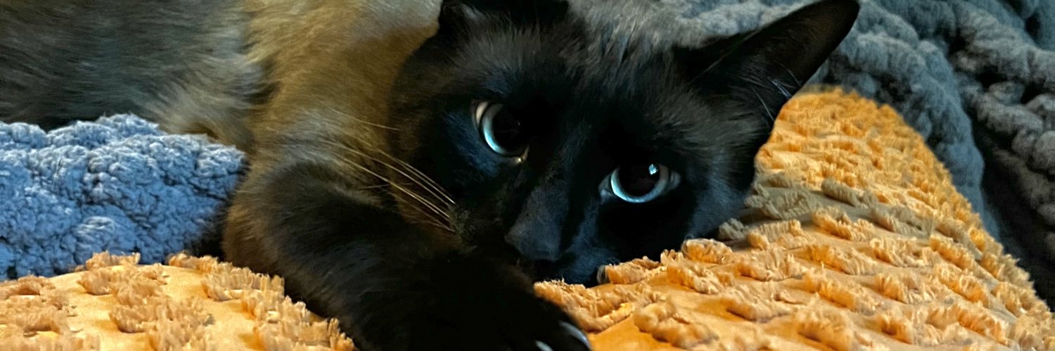 tabethaw7's profile banner image
