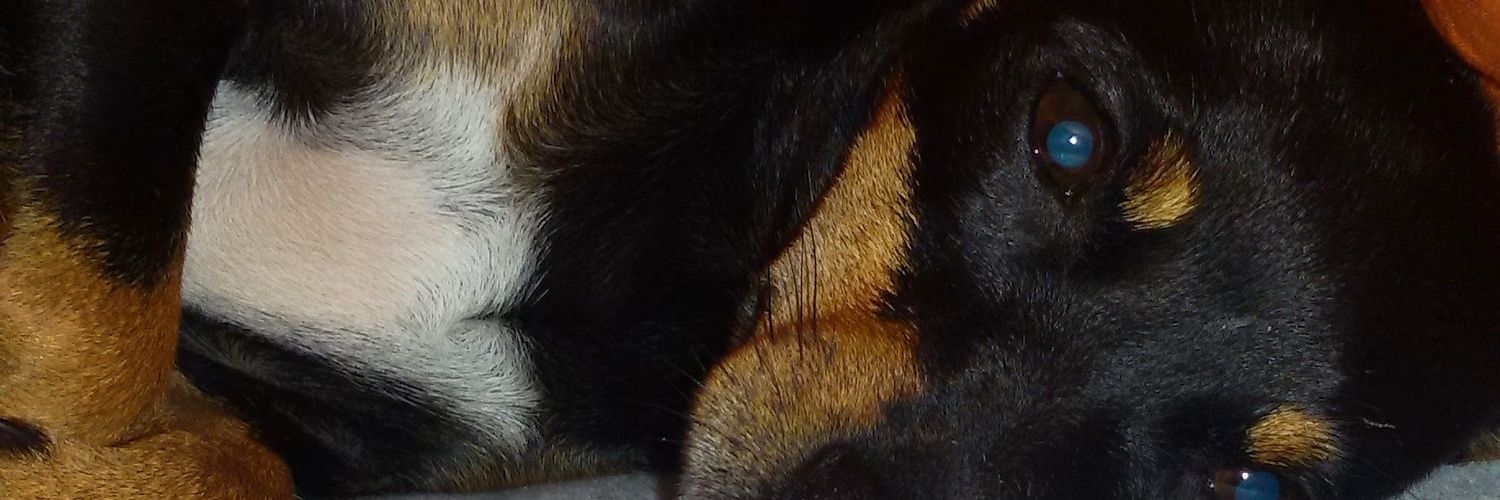 beltri_7's profile banner image