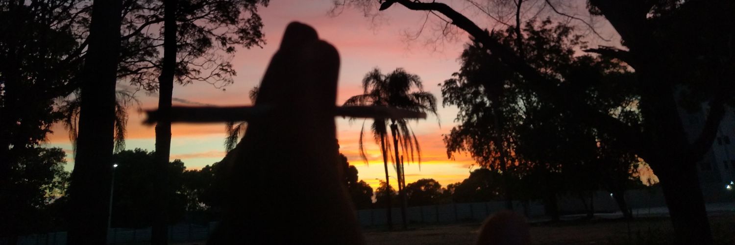 Esther Menezes banner