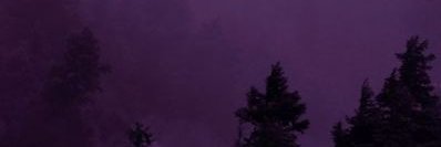 Tox banner
