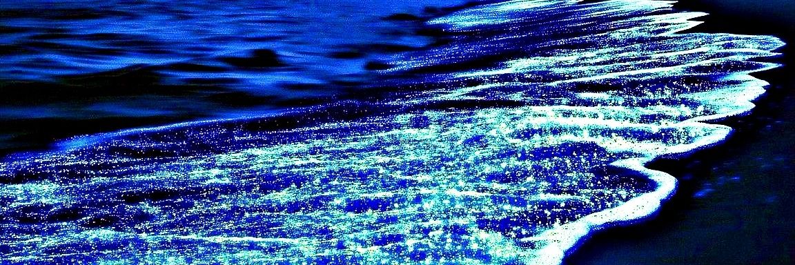 𓅓𓆩ᏪႱᏉᎥ ႶəᏰᎥᎽᏋᏉ𓆪  banner