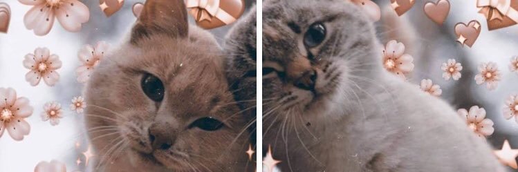 drmishappy's profile banner image
