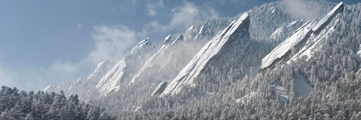ttobin's profile banner image