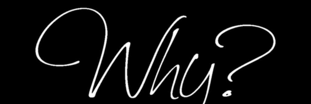 ridoido's profile banner image
