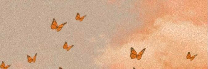 Rara⛓️🥀 banner