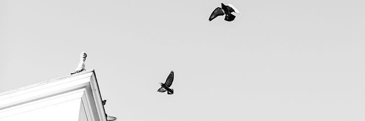 b banner