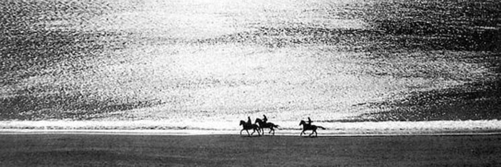 Thomas Alarcon banner