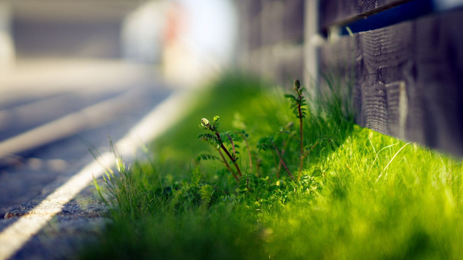 Mojtaba Pourmahmoud 🎒 banner