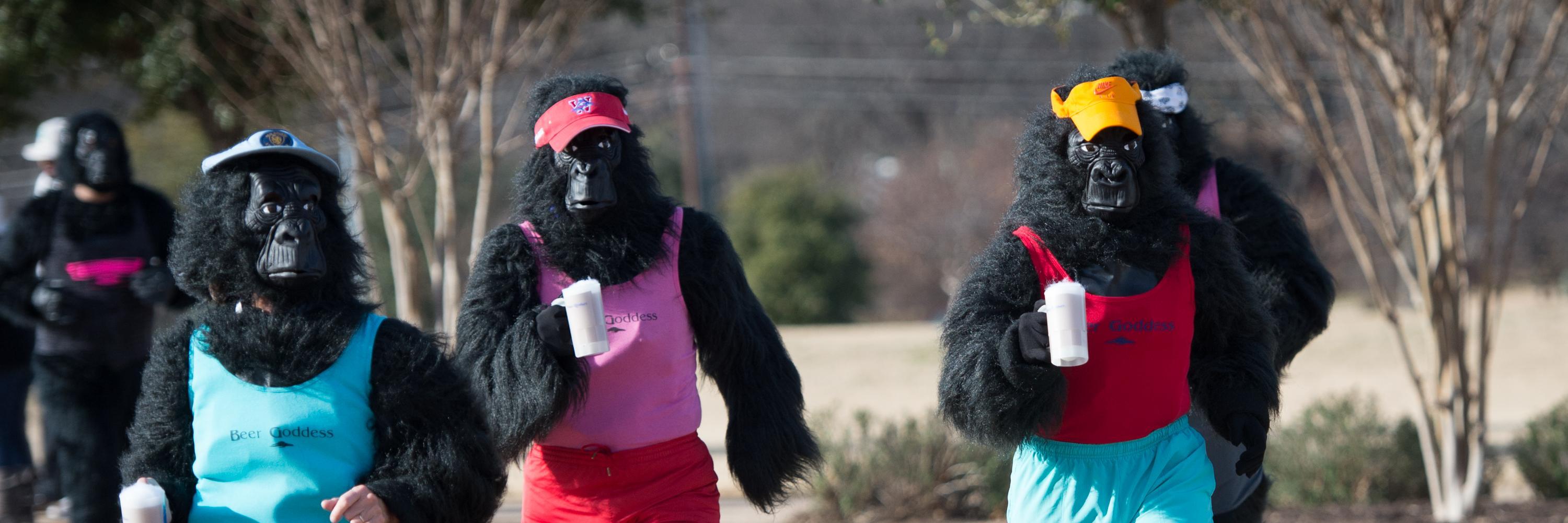 GorillaRunATX's profile banner image