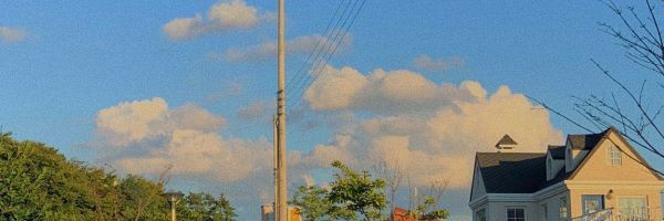 Ari🌱 banner