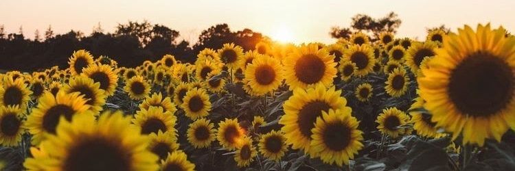 ManuSnchez8's profile banner image