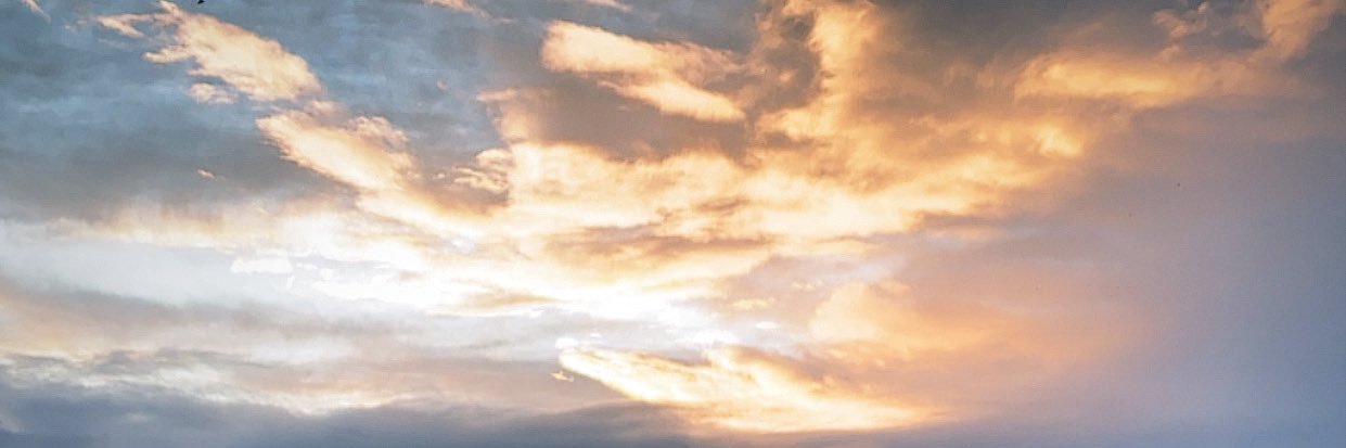 G x banner