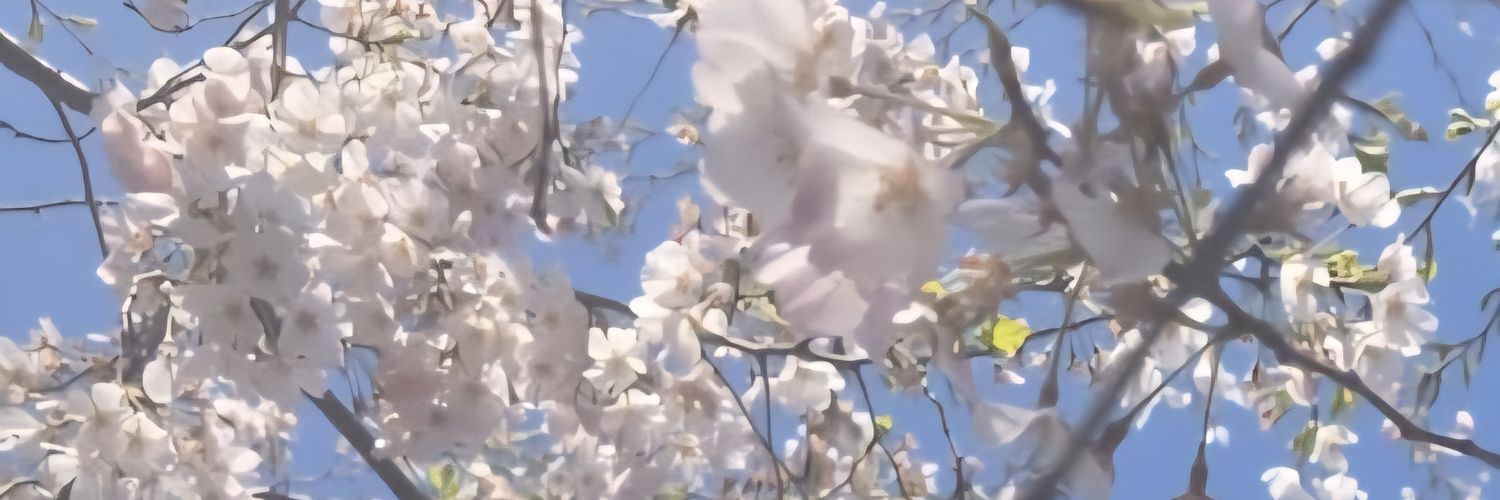 spring8643's profile banner image