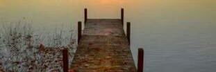 cmt893800's profile banner image