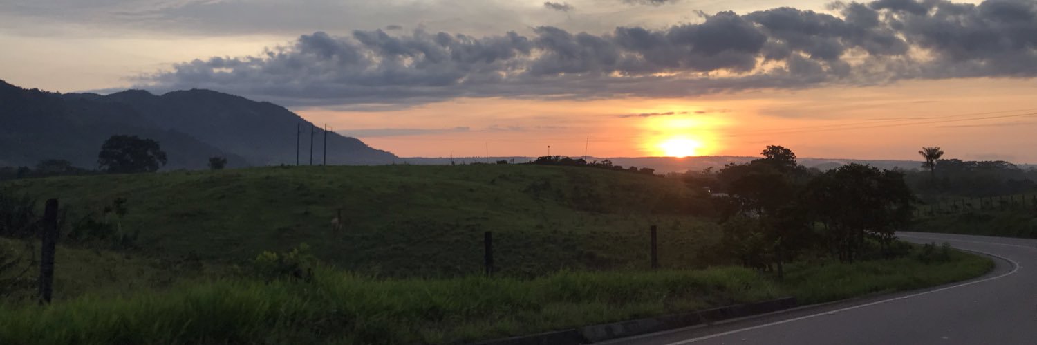 adrianah96's profile banner image