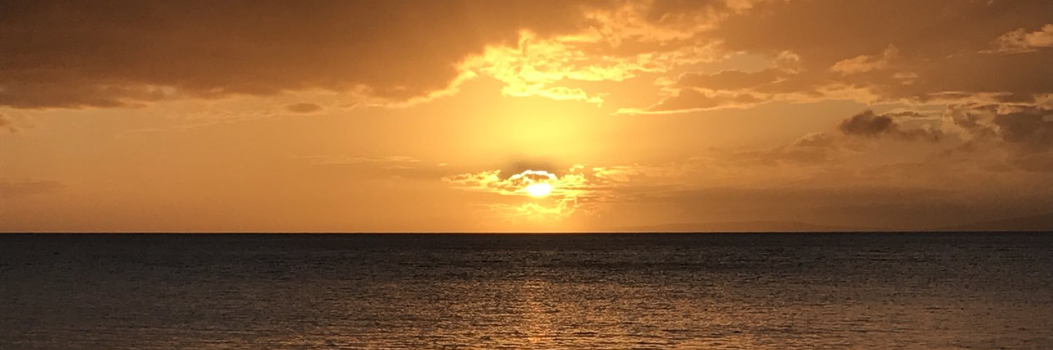 Stuntman Mike banner