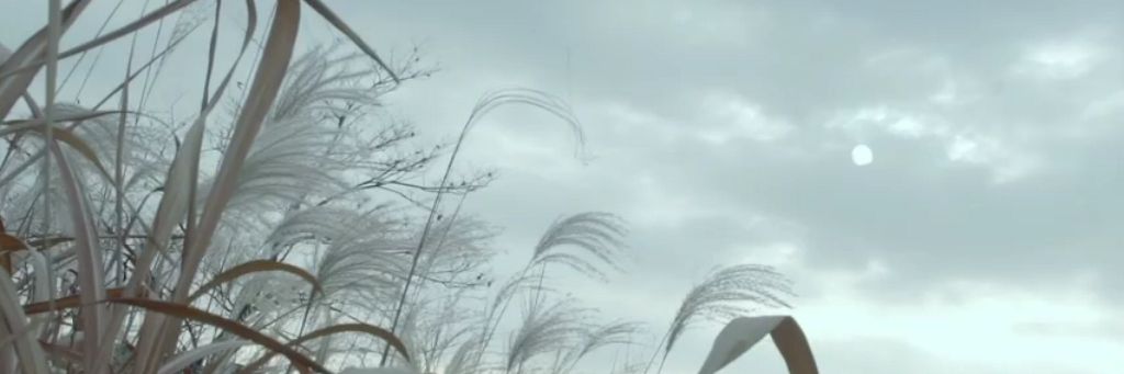 FlyingpawF's profile banner image