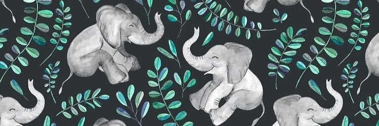 cerenokan's profile banner image