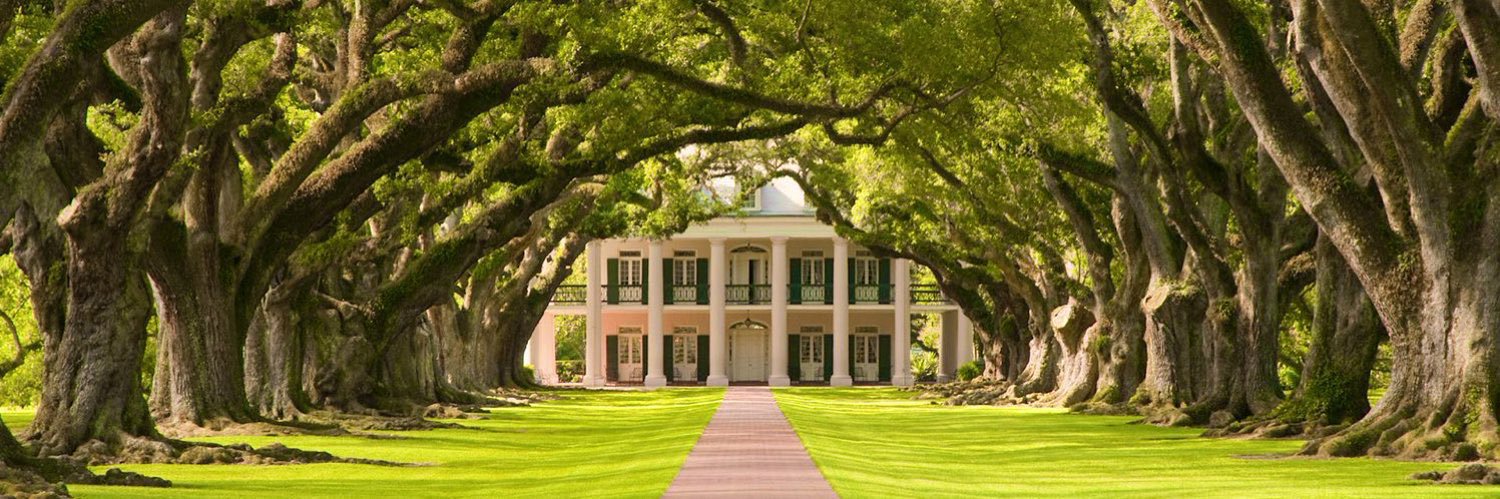 Isabella Brooks 🌾🧶🌿 banner