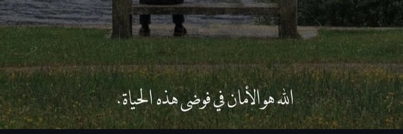 AMQ55598's profile banner image