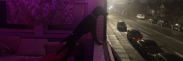 bigdumbchops Profile Banner