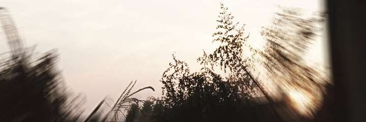 Zeeshan banner