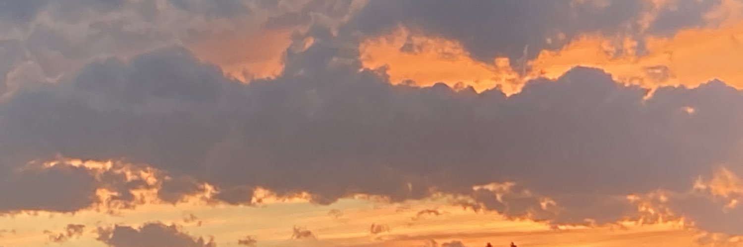 ShariGraydon's profile banner image