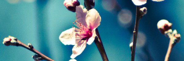 KttnStns Profile Banner