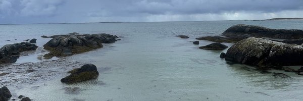 silvatheband Profile Banner