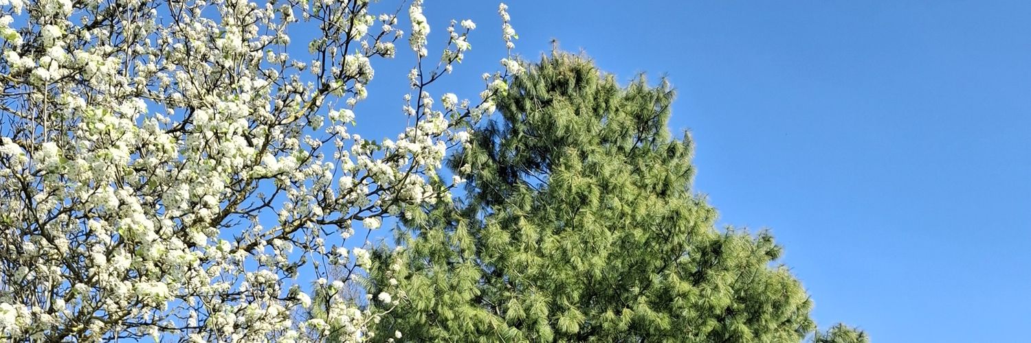 🌼🐿️ℳ𝒾𝒸𝒽ℯ𝓁𝓁ℯ 𝒩𝒶𝓉𝓊𝓇ℯ & 𝒯𝒽ℴ𝓊ℊ𝒽𝓉𝓈 ✒️ banner