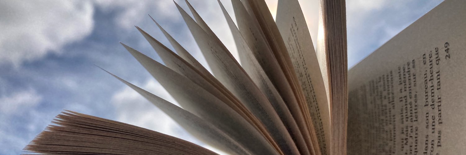 Laure Halligon banner