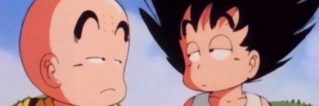 🌸🌺🌸🌺🌸🌺 banner