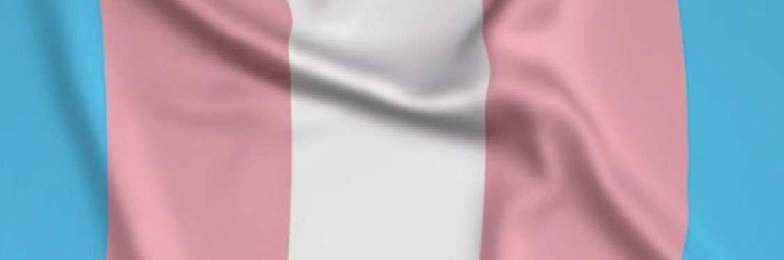 David Hayes 🏳️‍🌈🇺🇦🇨🇦🏳️‍⚧️ banner
