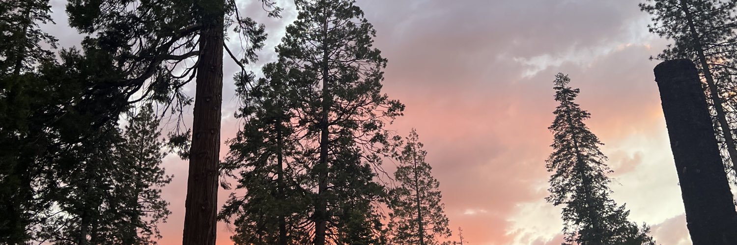 syddn3y's profile banner image