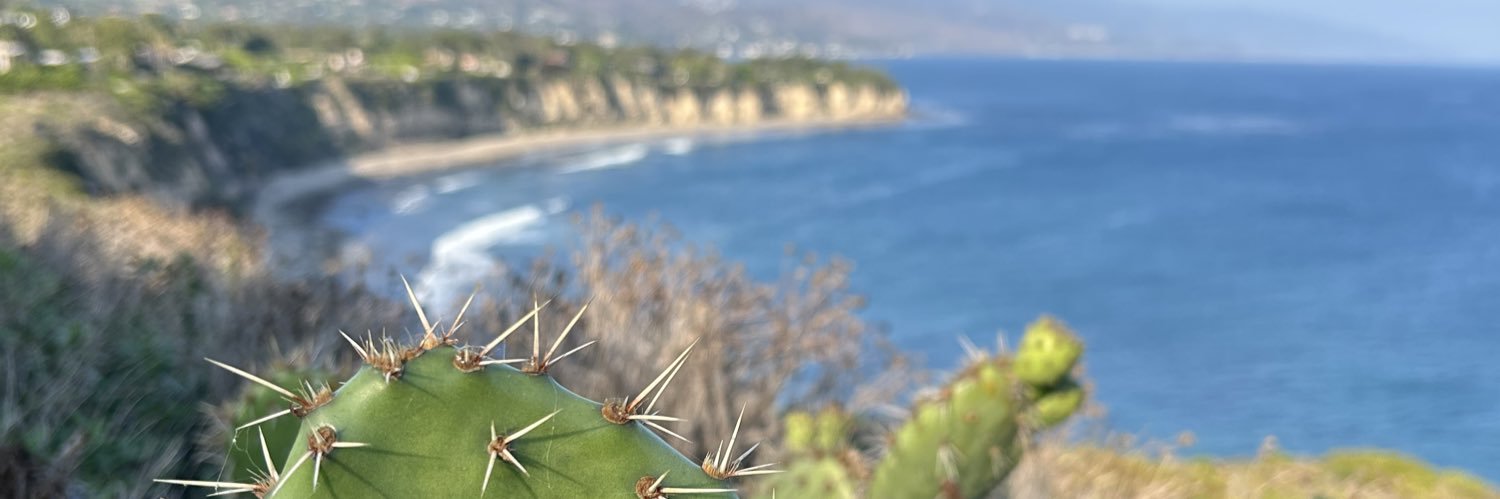 BullishBase🎒 banner