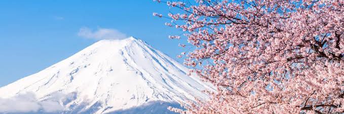 4clover_natural's profile banner image