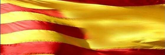 baixllobregat's profile banner image