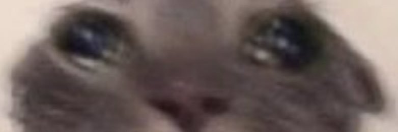 Gabi banner