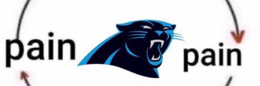 Panthers fan banner